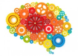 thinking brain